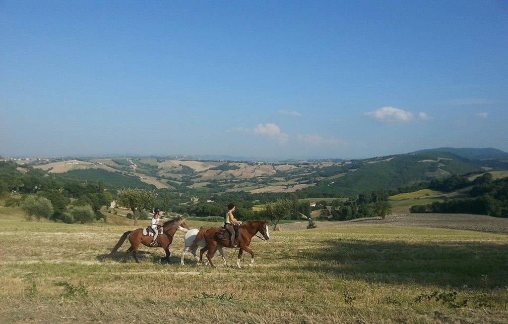Agriturismo Il Casale Pergola Exterior foto